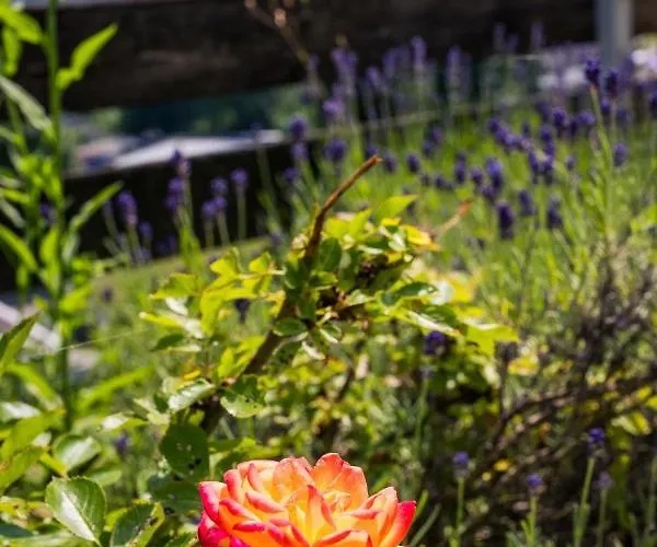 Seeblick * Sattendorf